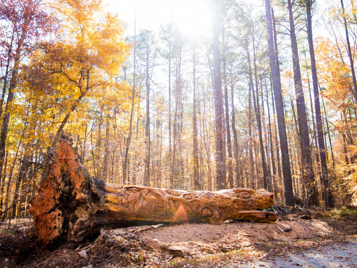 Umstead Chainsaw Art