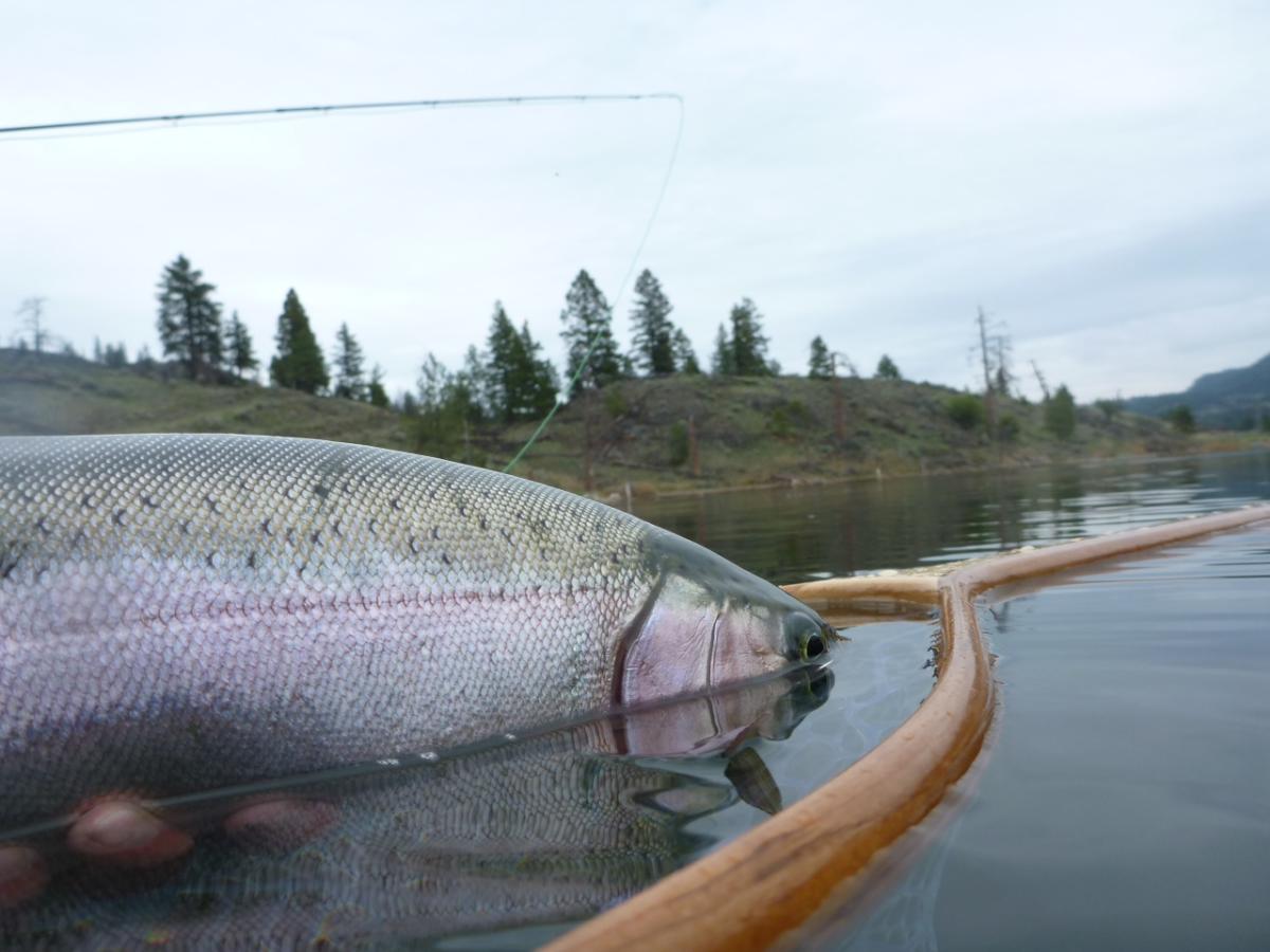 Fishing