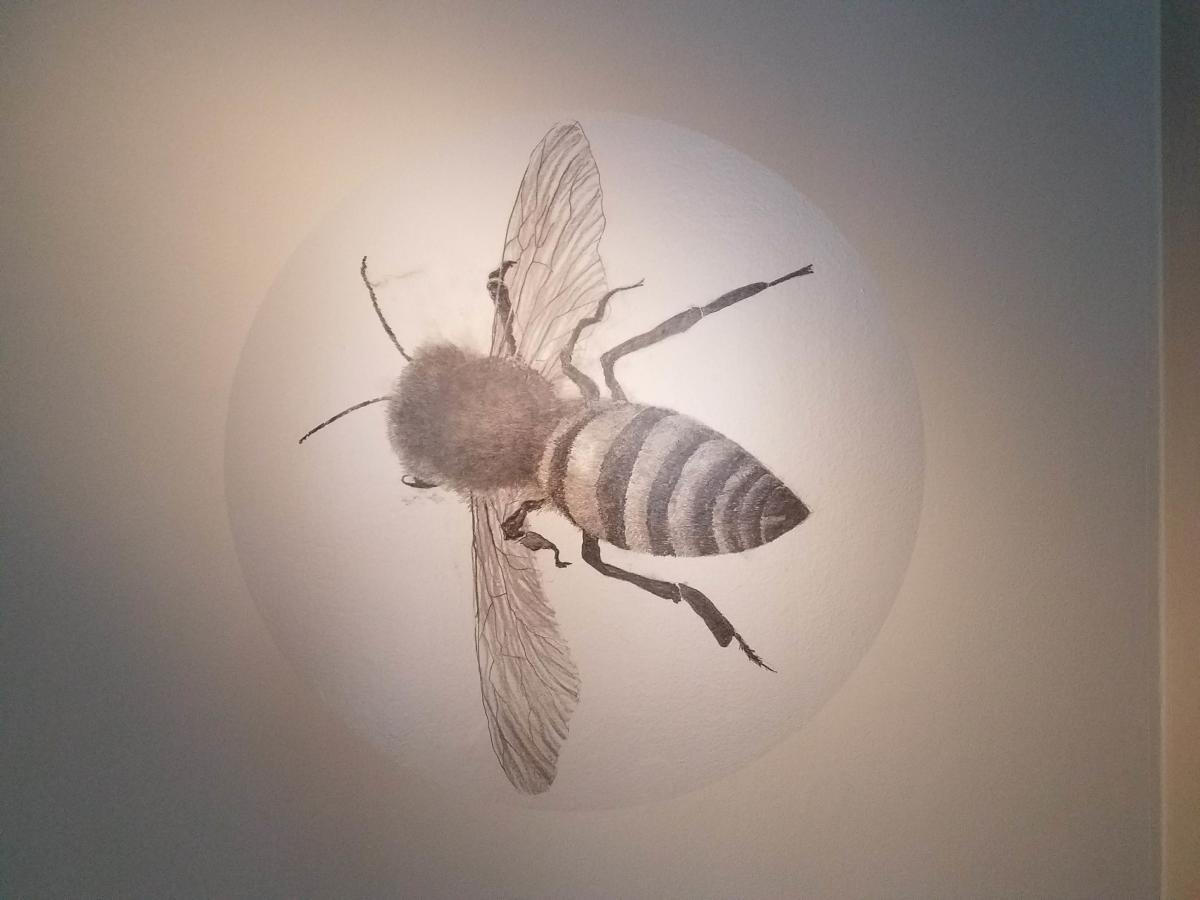 Museum of Glass - Foraging the Hive