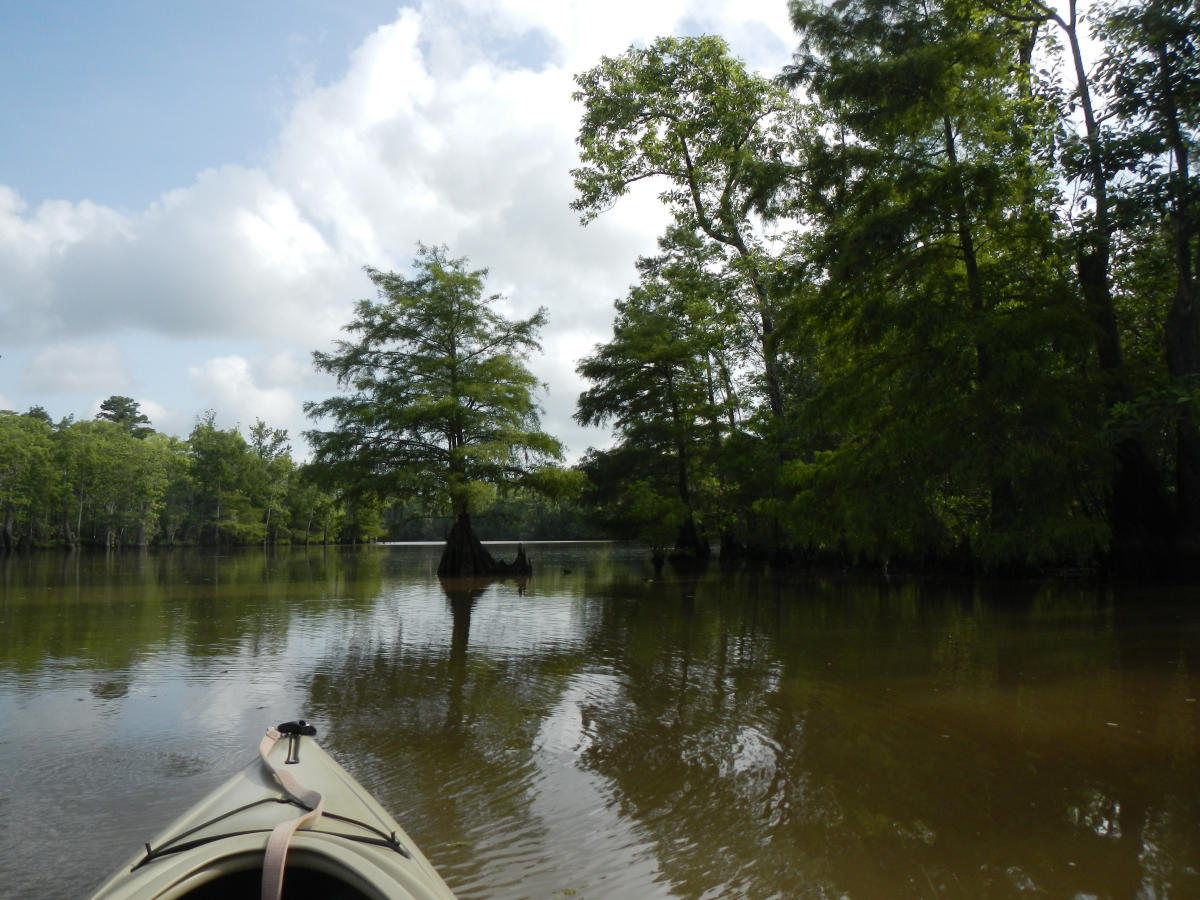 Kayaking in Beaumont