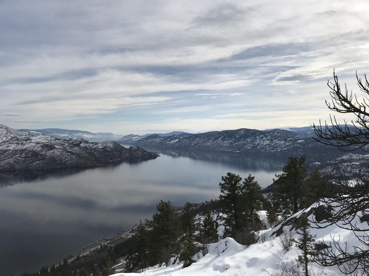 Snowy Pincushion Mountain