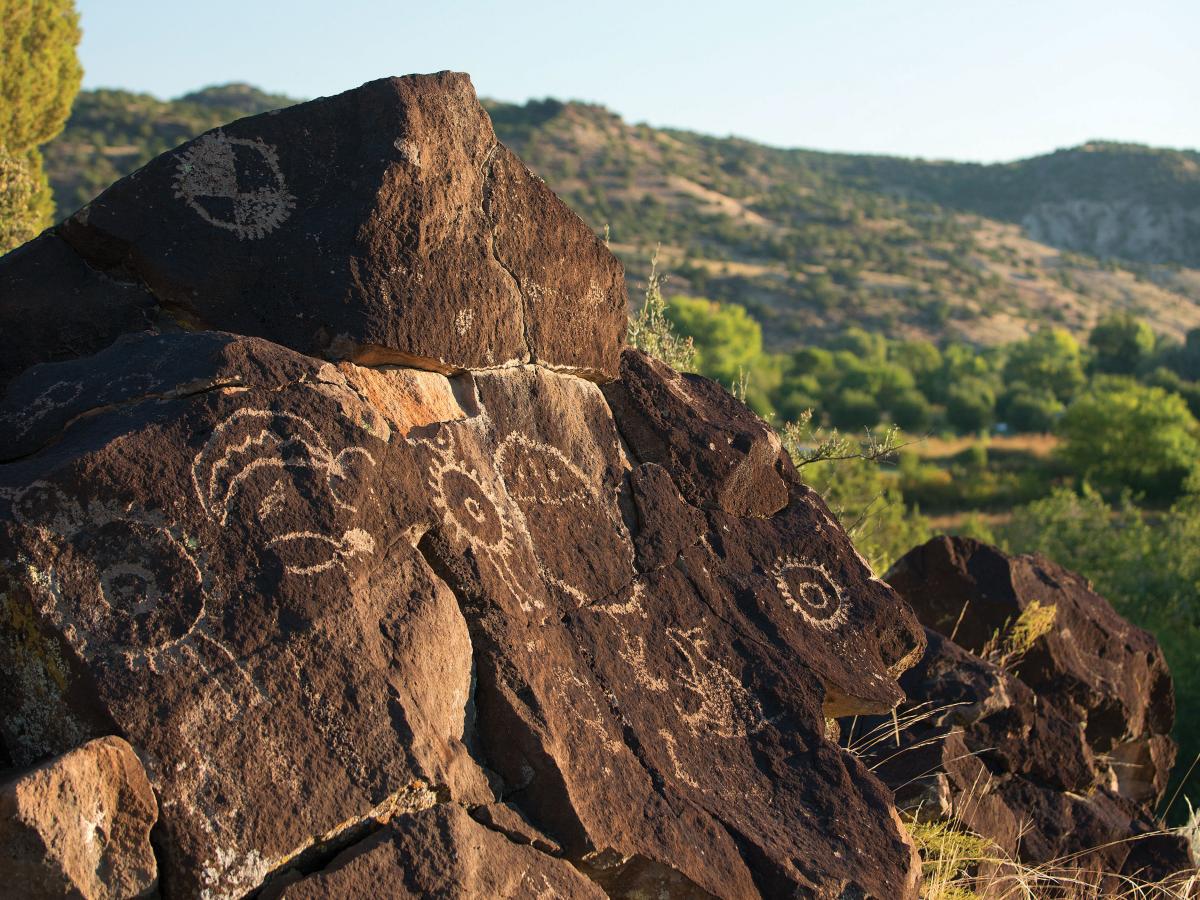 Mesa Prieta Petroglyph Project