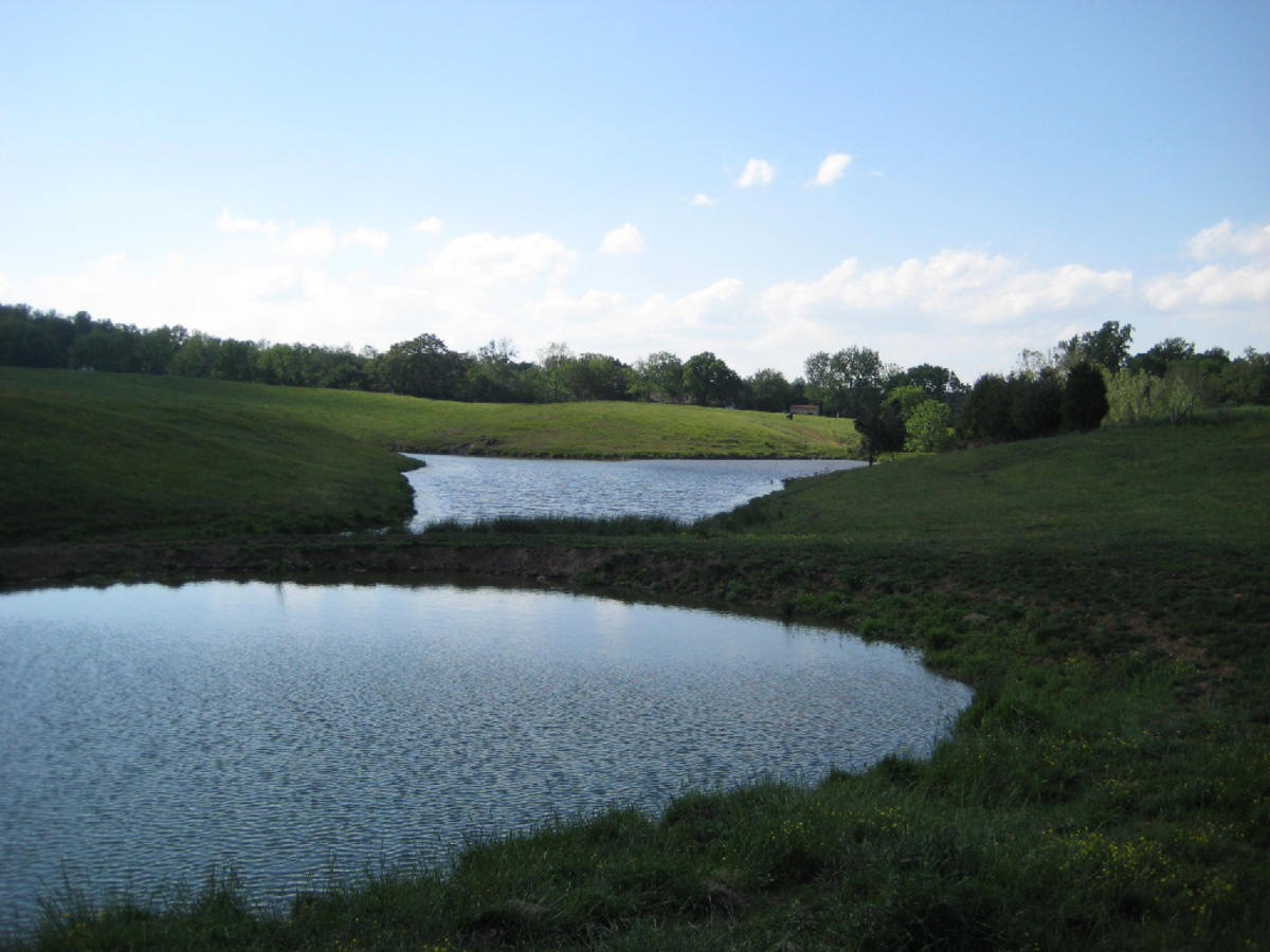 View of the fishing pond at Greenville Farm Family Campground