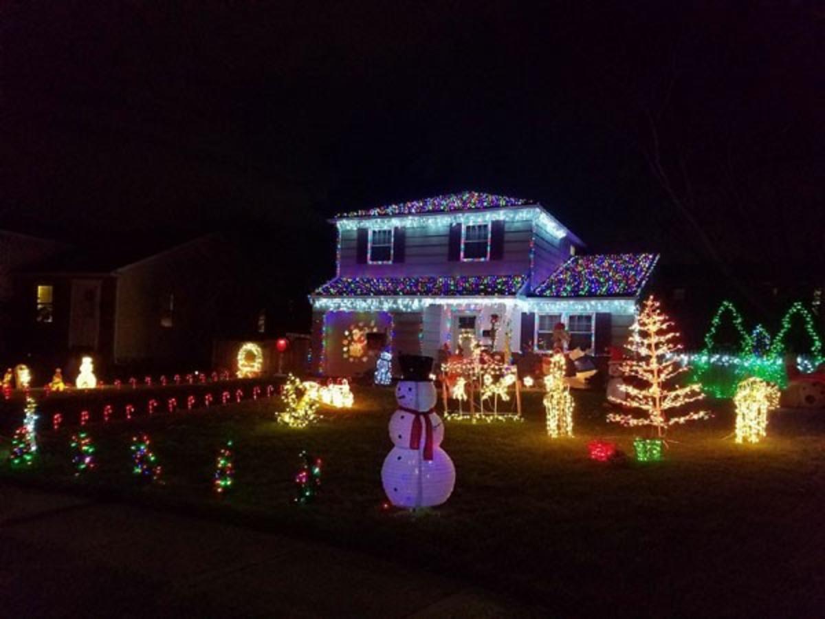 schafer road