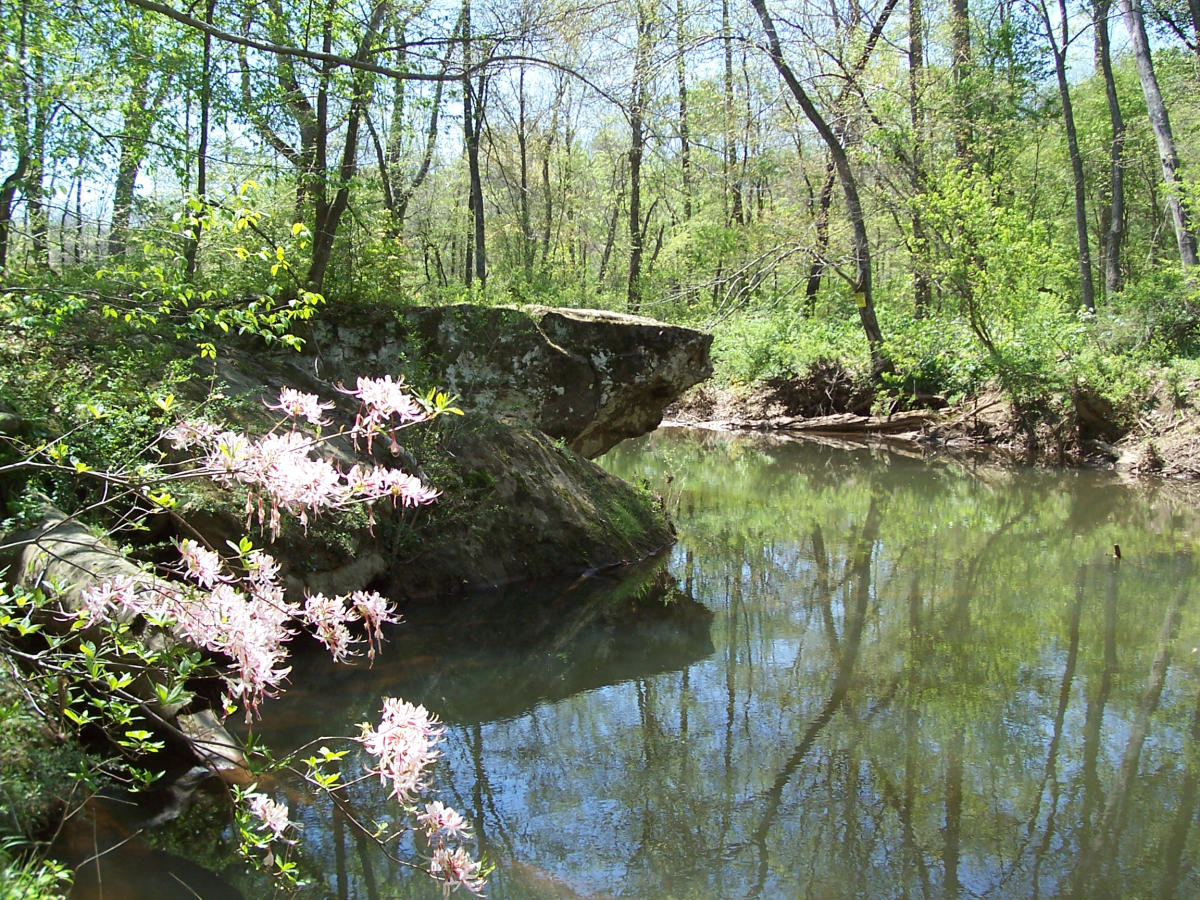 Hollow Rock Nature Park