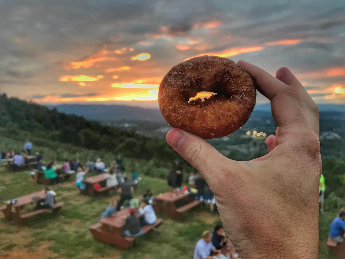 Donuts de sidra de maçã no pomar de Carter 