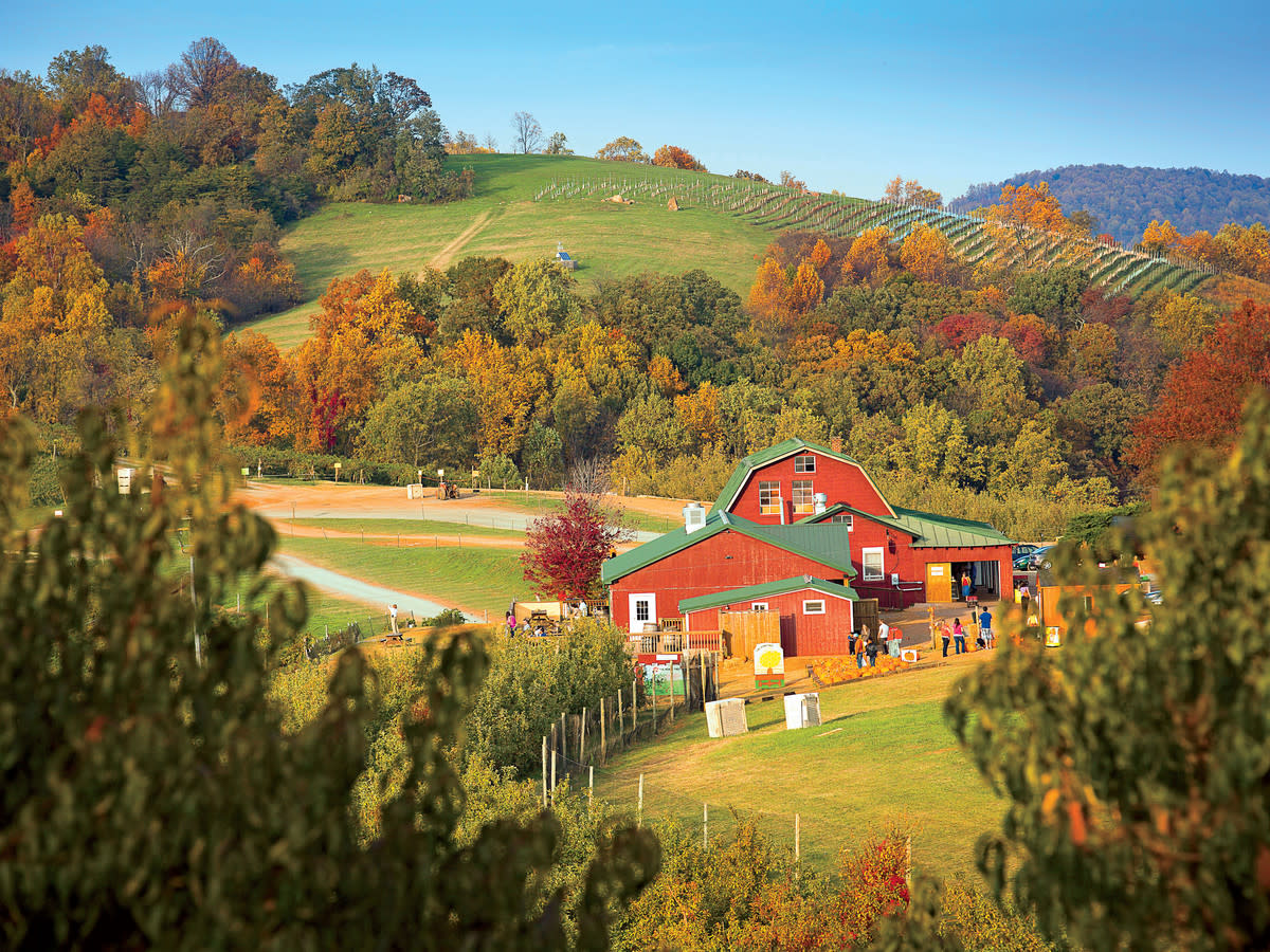 Best Places to See Fall Color in Charlottesville