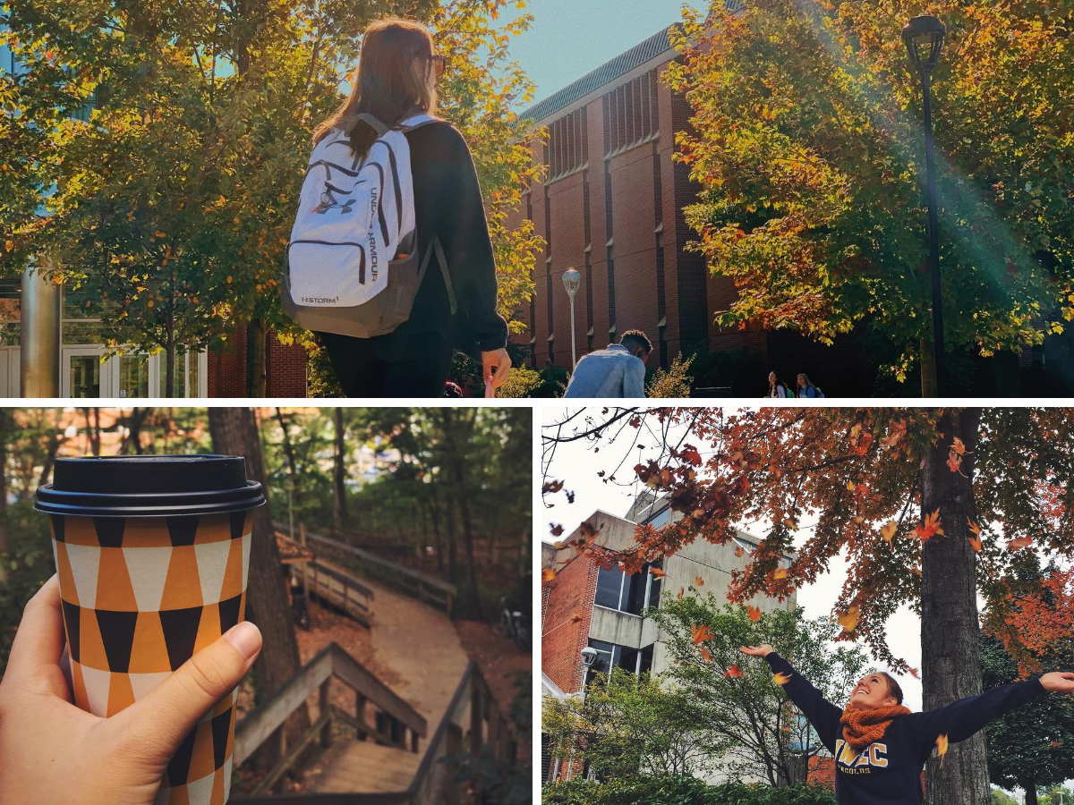 Top Scenic Views Of The Fall Foliage In Eau Claire Wi
