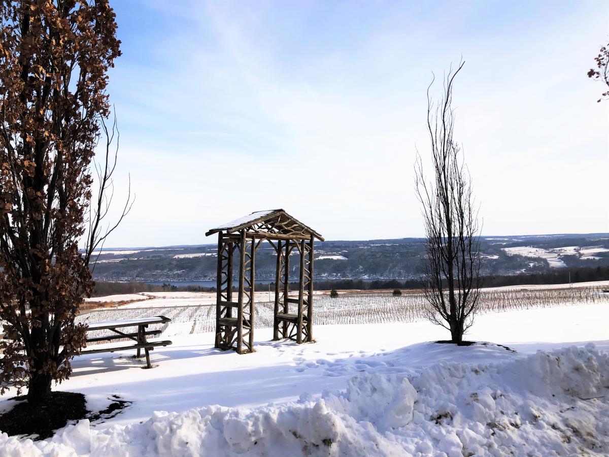 Copy of KW 2020 Vineyard Winter