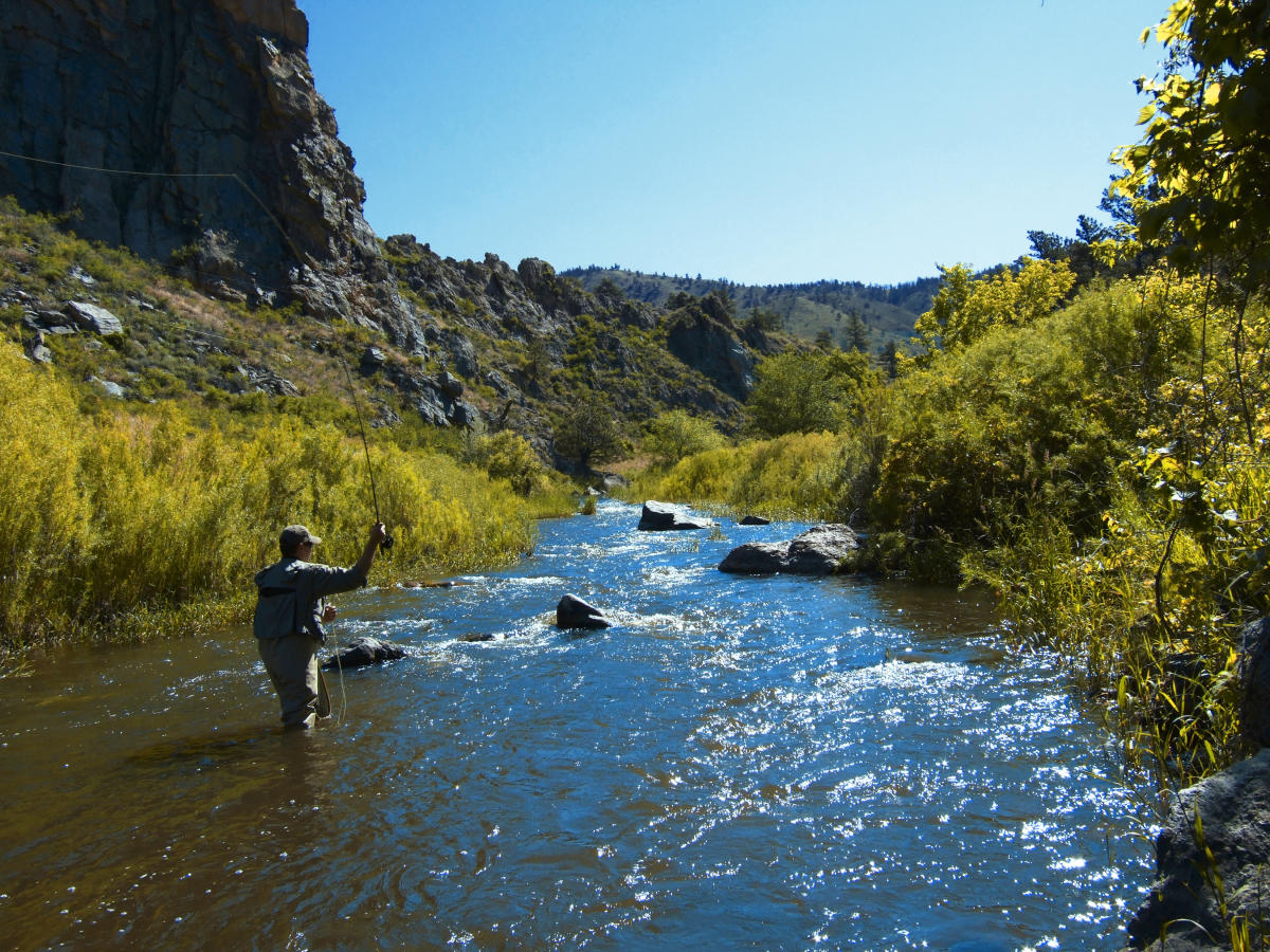 Fly Fishing in the Poudre River