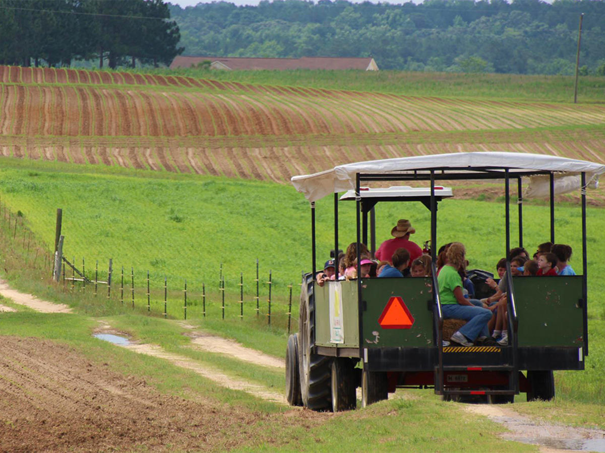 Enjoy a trolley ride on the Lazy O Farm, located near Smithfield, NC.