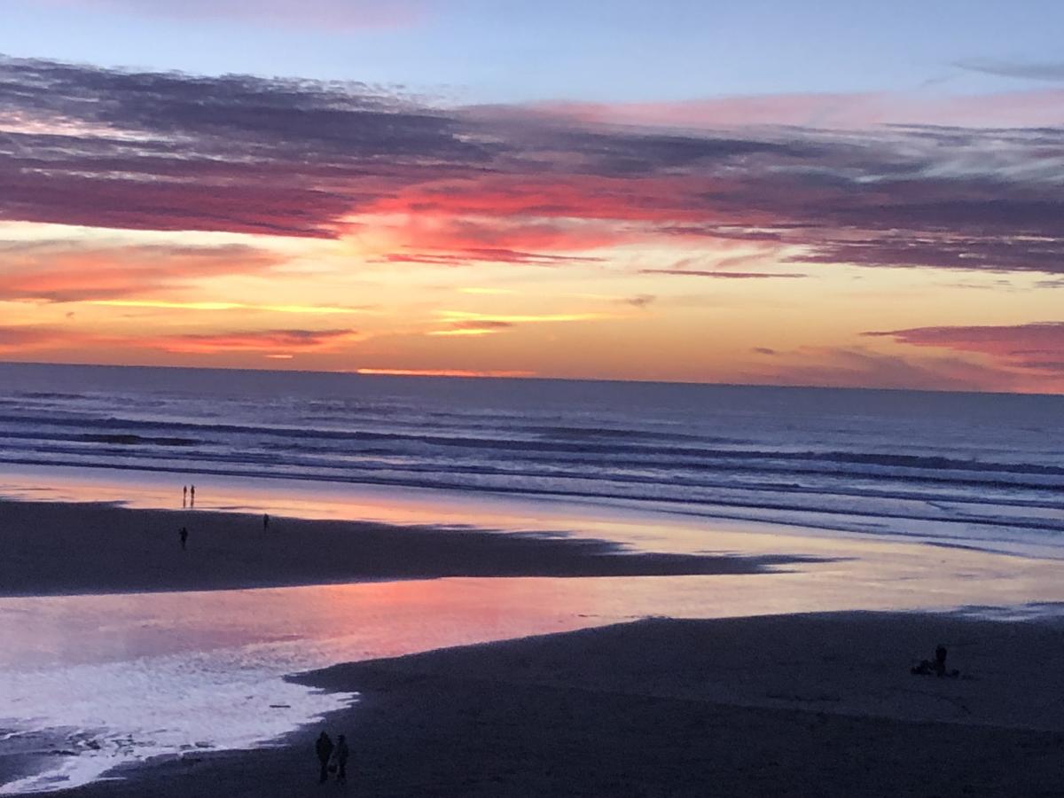 Driftwood Shores Sunset by Diana Wells Driftwood Shores Sunset by Diana Wells