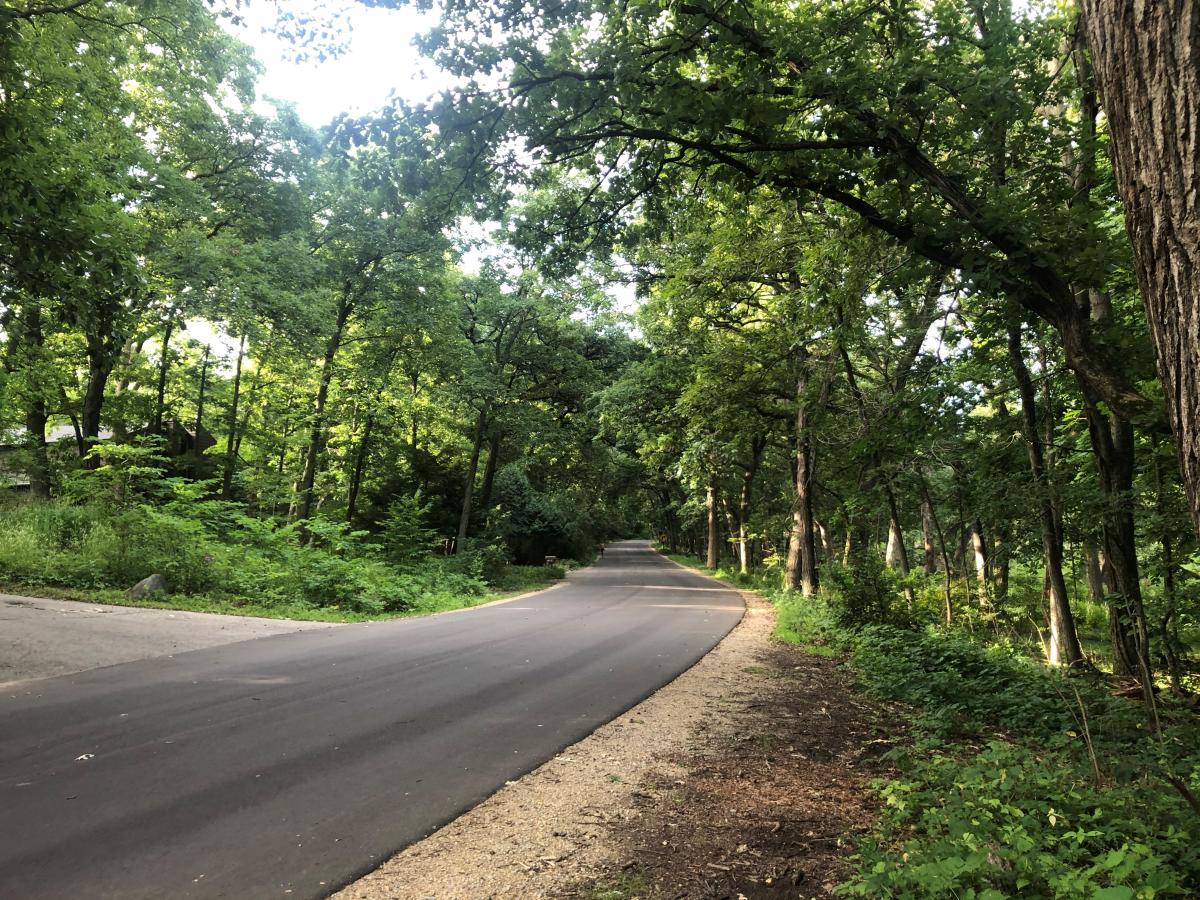 UW Arboretum Loop