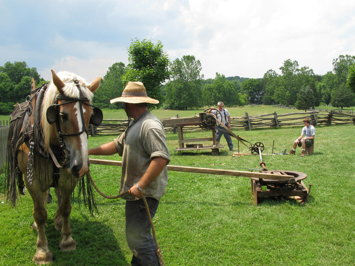 Man leading a horse at the Howell Living History Farm
