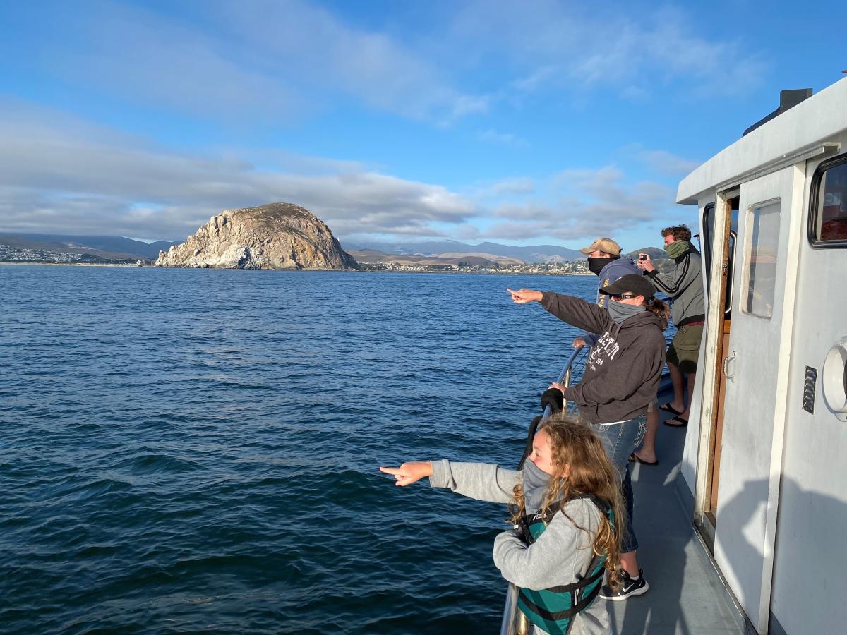 People pointing while whale watching in Morro Bay