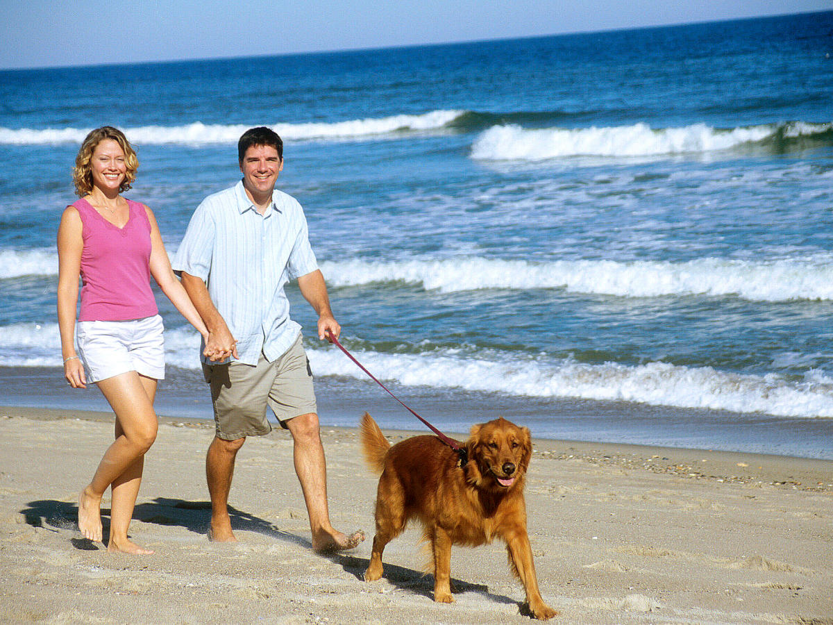 Copy of Couple with Dog - beach GI-210