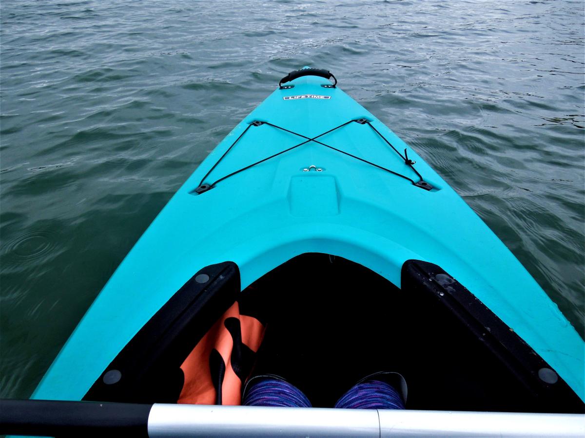 Kayaking and Canoeing - John Heinz at Tinicum - U.S. Fish and Wildlife  Service