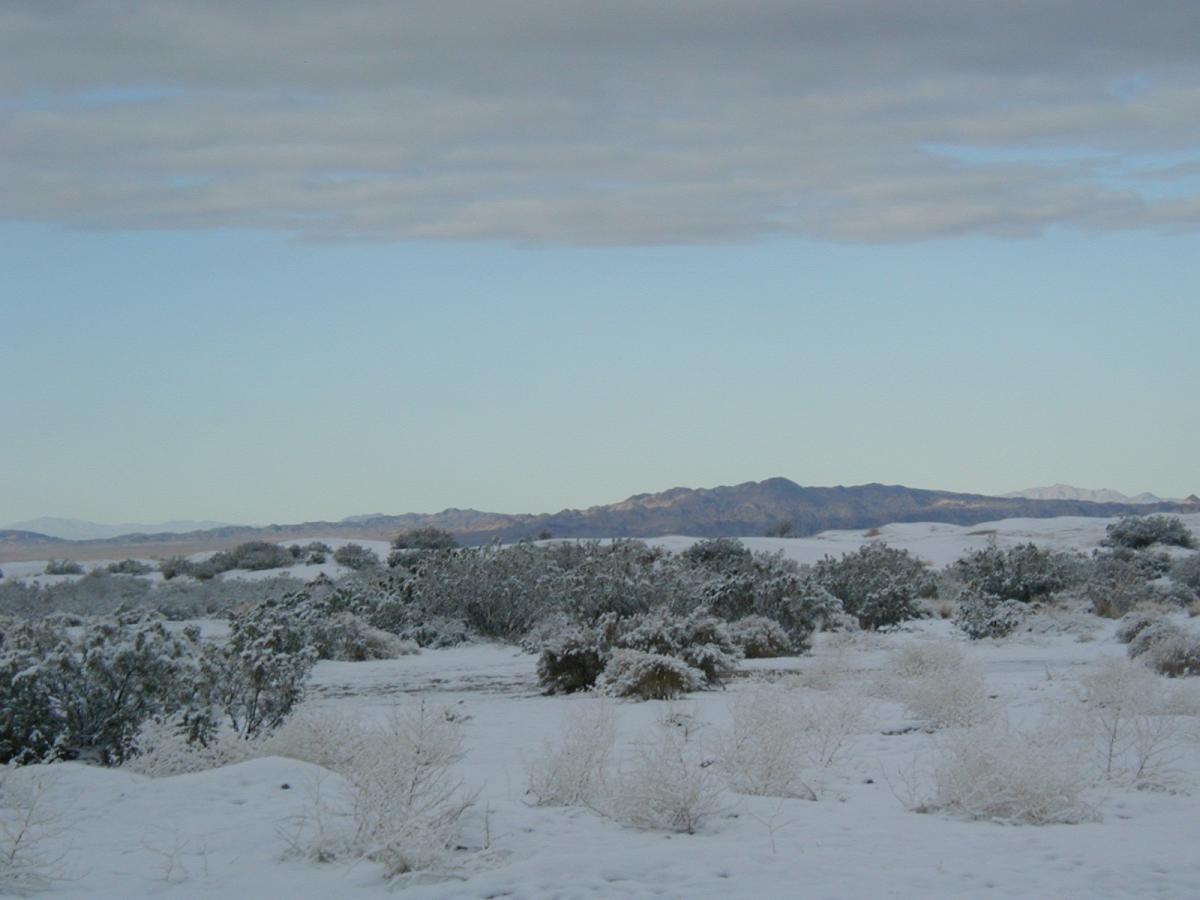 Kelso Sand Dunes