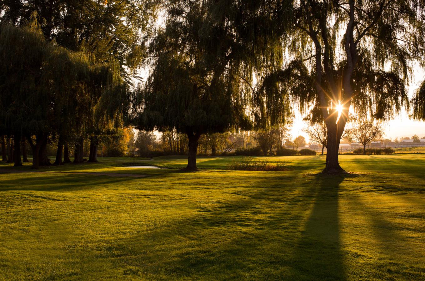Mission Creek Golf Course Image 7