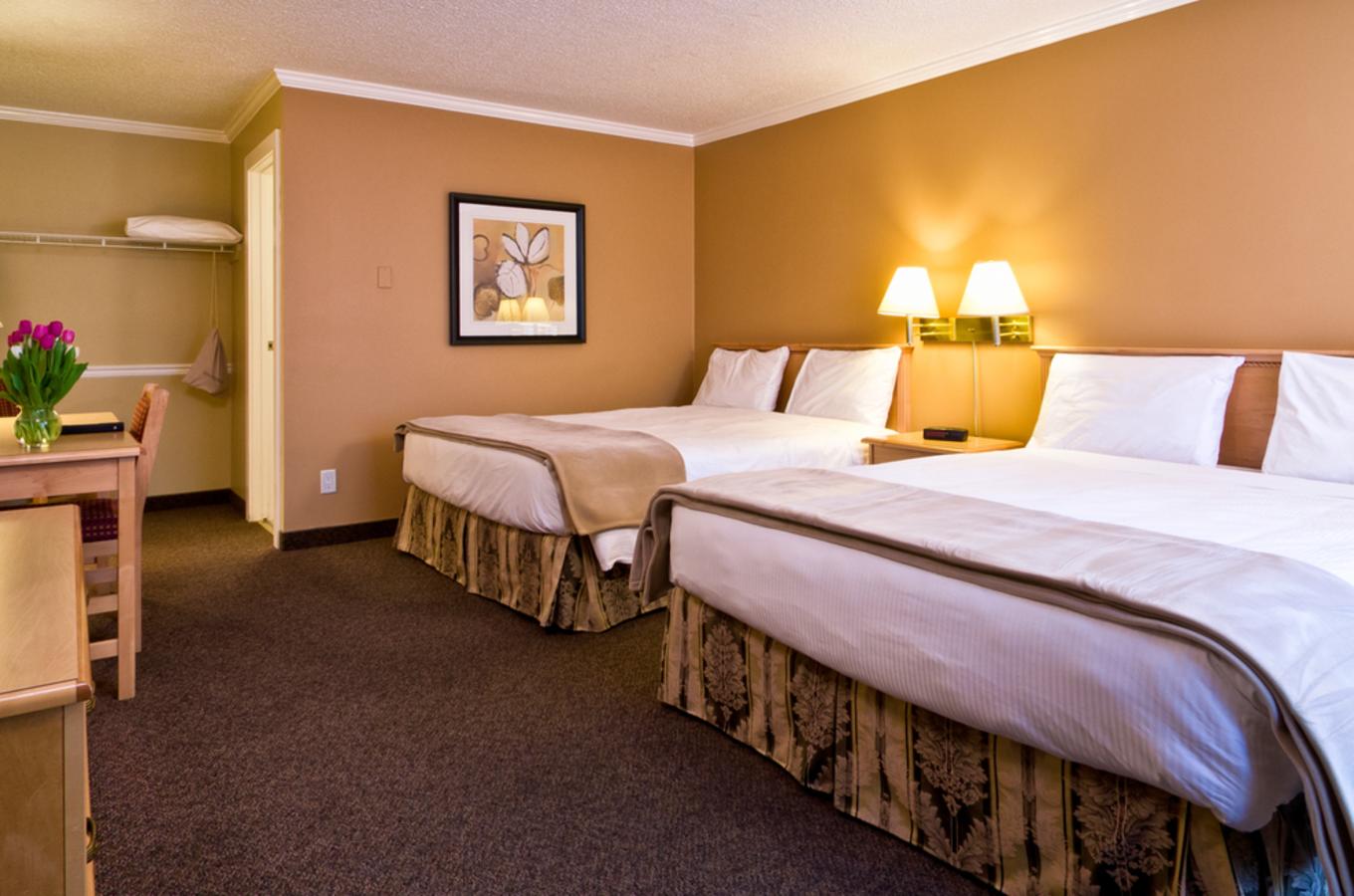 2 queen guest room