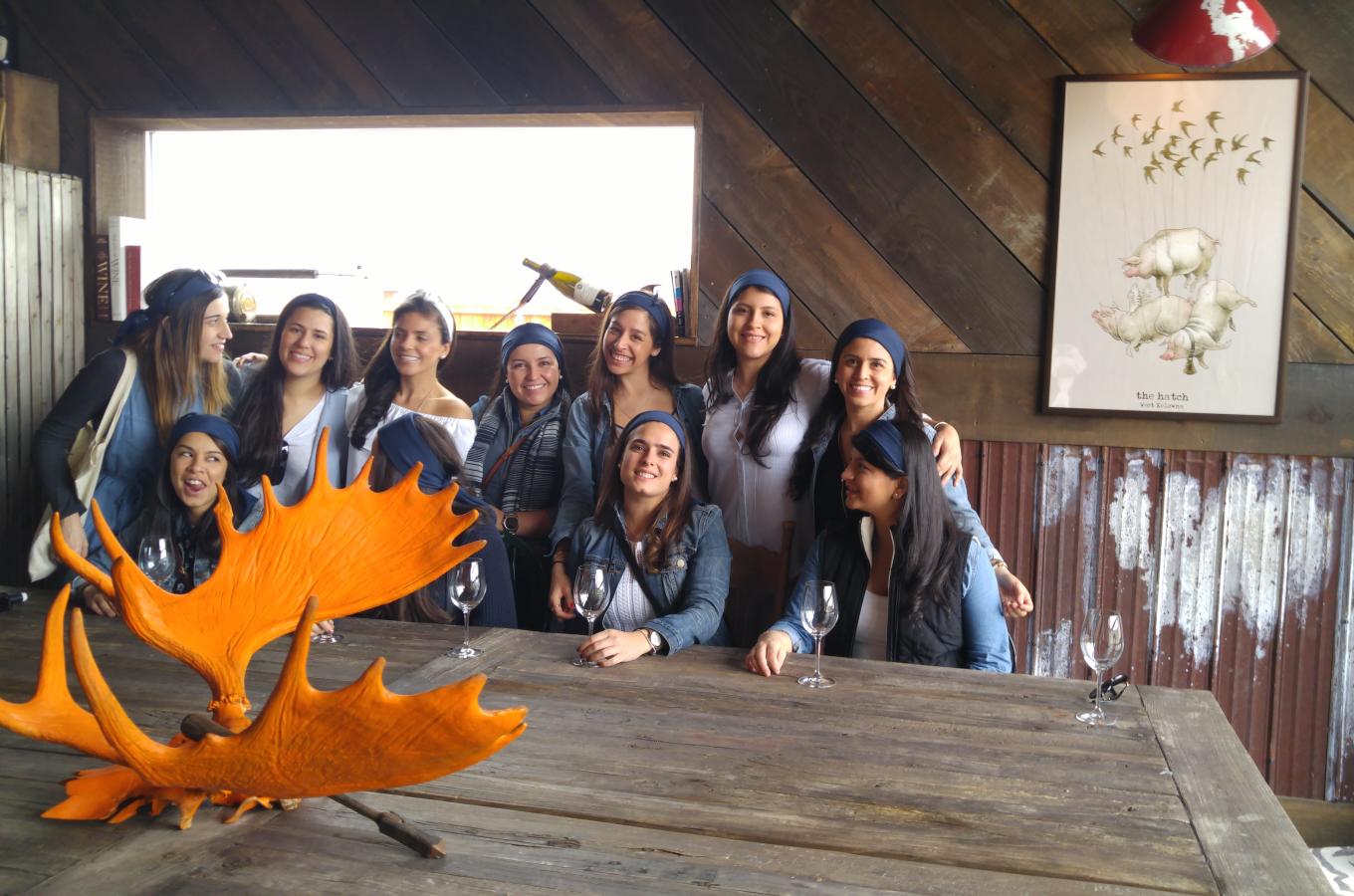 Toast the Okanagan Wine Tours