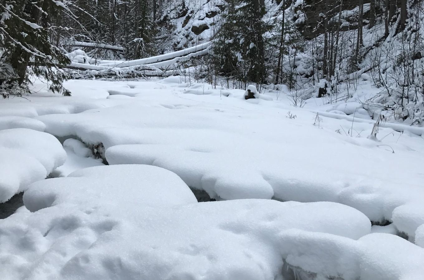 Angel Springs Winter 2