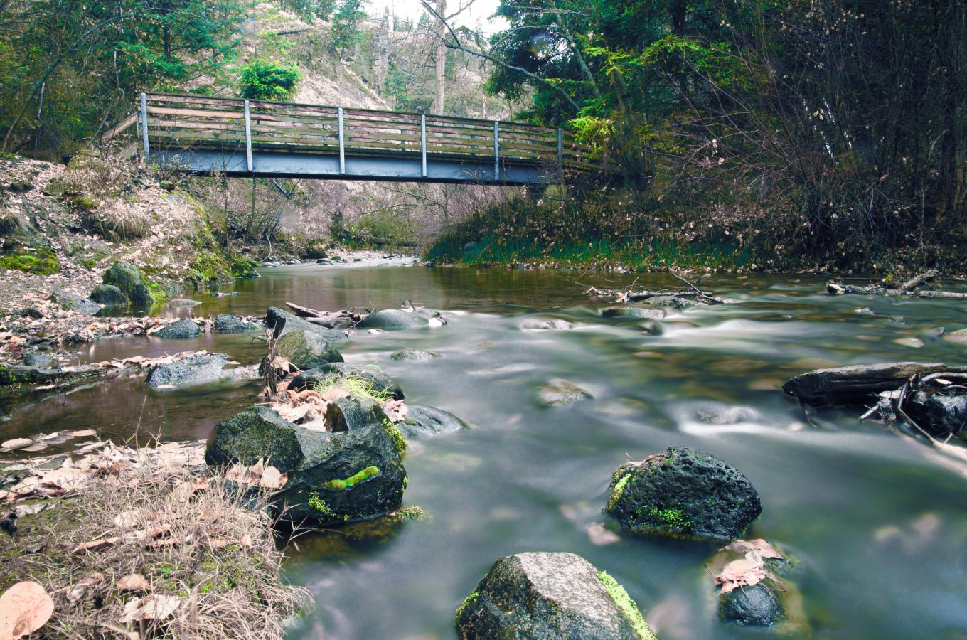 Bear Creek Provincial Park (1)