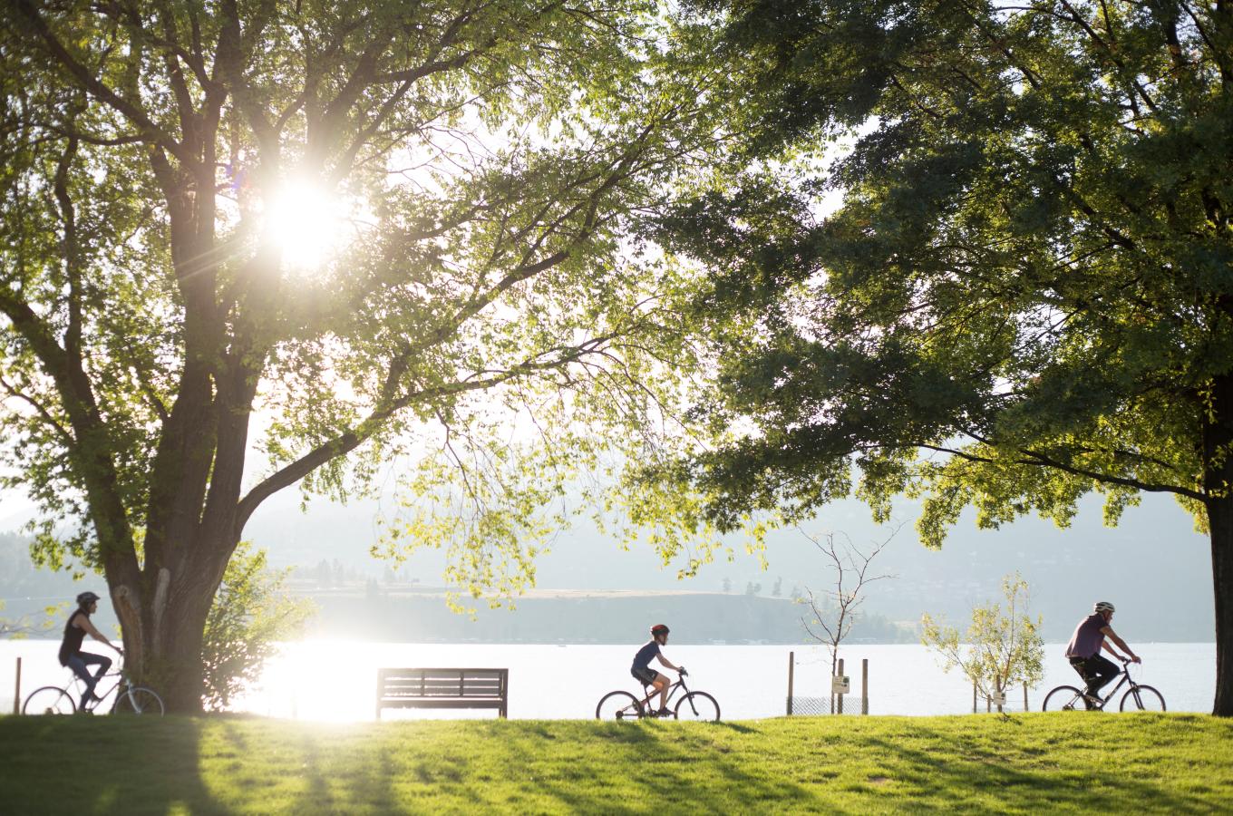 Biking City Park