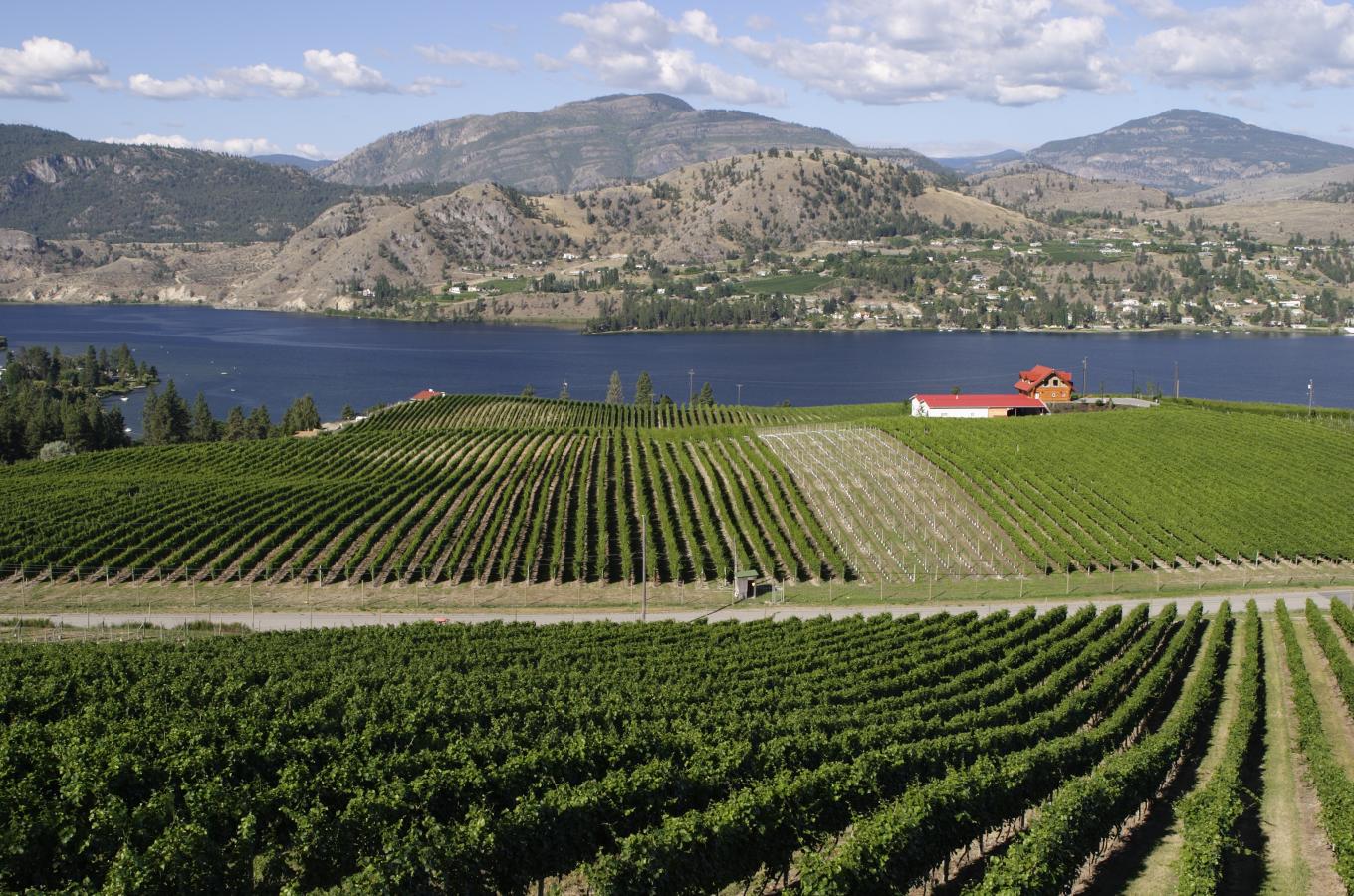 Noble Adventures Wine Tours