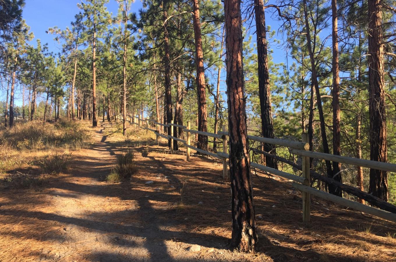 Cedar Mountain Park 3