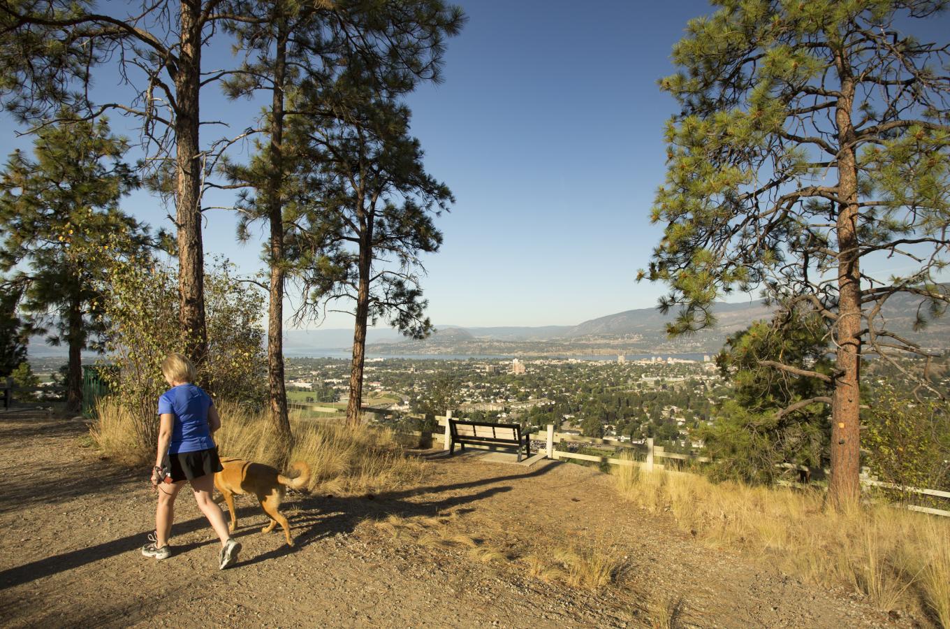 Dilworth Mountain Park View 2