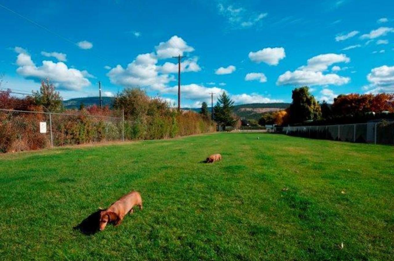 Holiday Park Resort Fenced Off-leash Dog Park