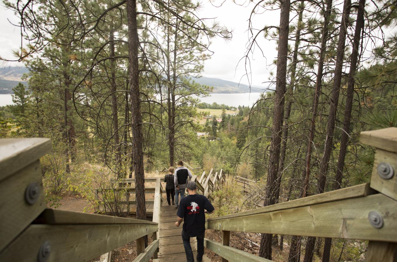 Fintry Stairs