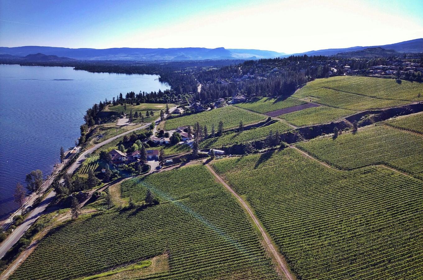 St Hubertus & Oak Bay Vineyard