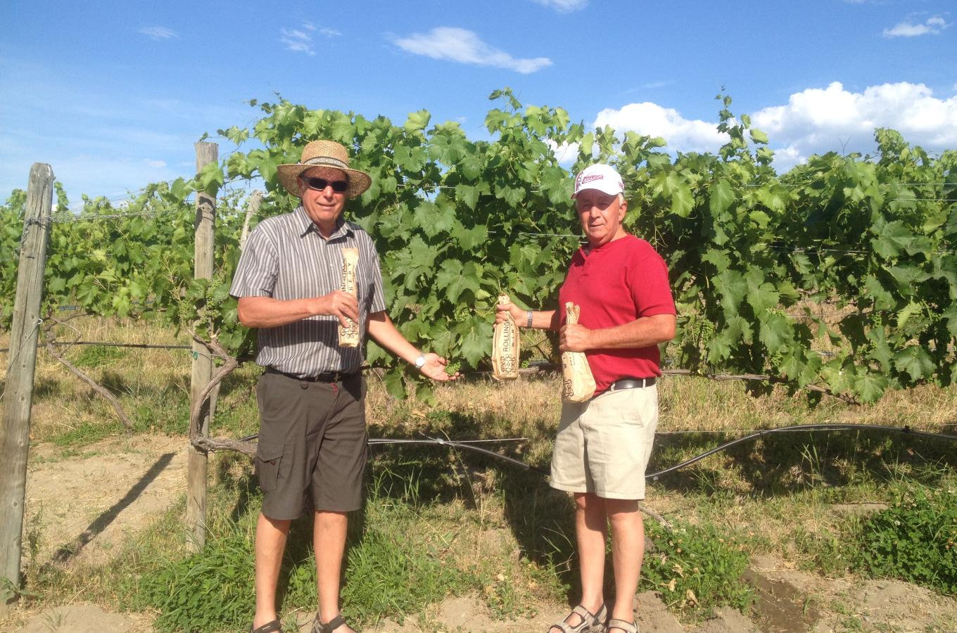 Carefree Wine Tours Image 3