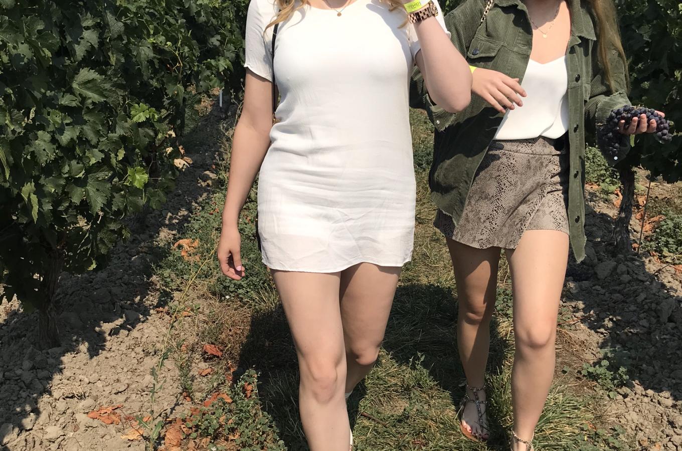 Summer stroll thru the vineyard