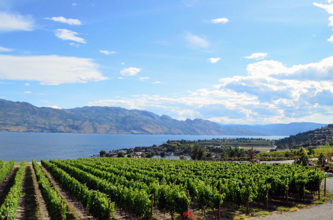 Distinctly Kelowna Logo