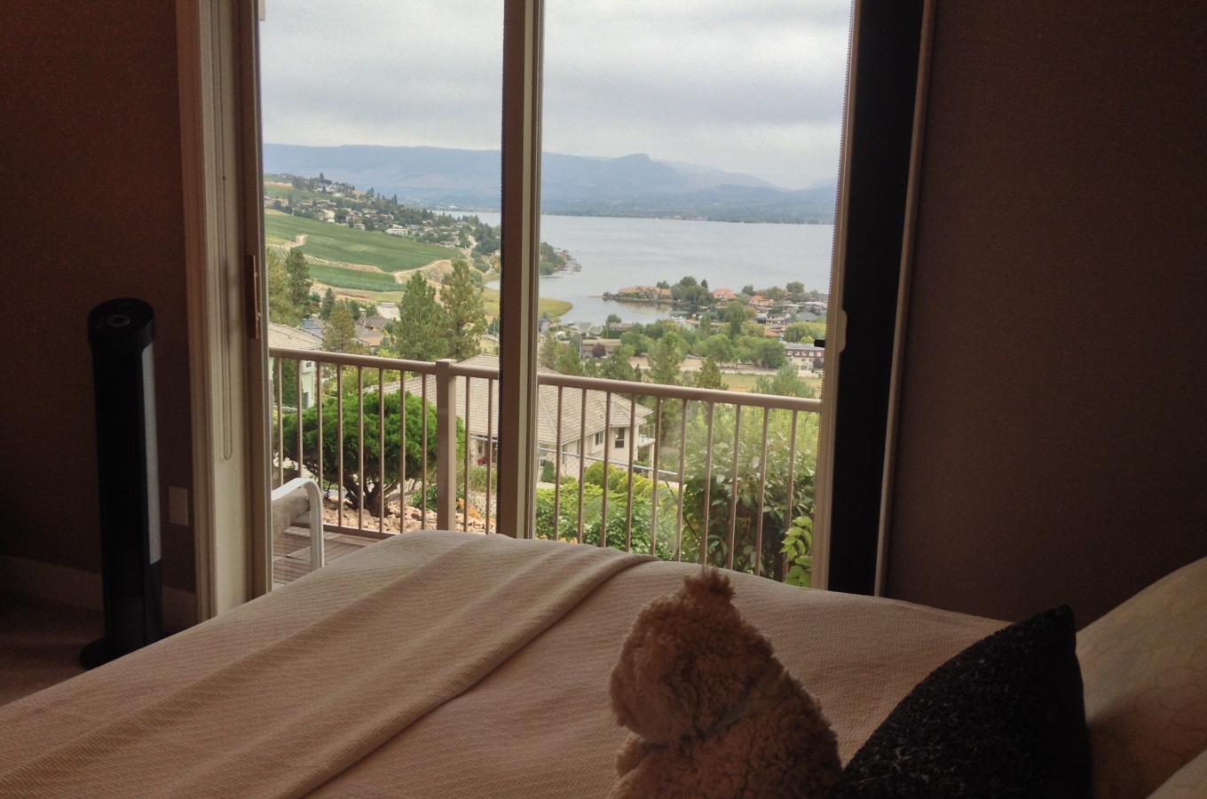 From the Lakeview Room bed you can watch the grapes grow at Quail's Gate Winery.