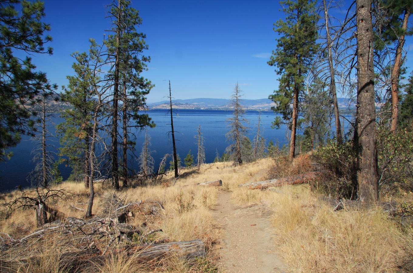 Okanagan Mountain Park