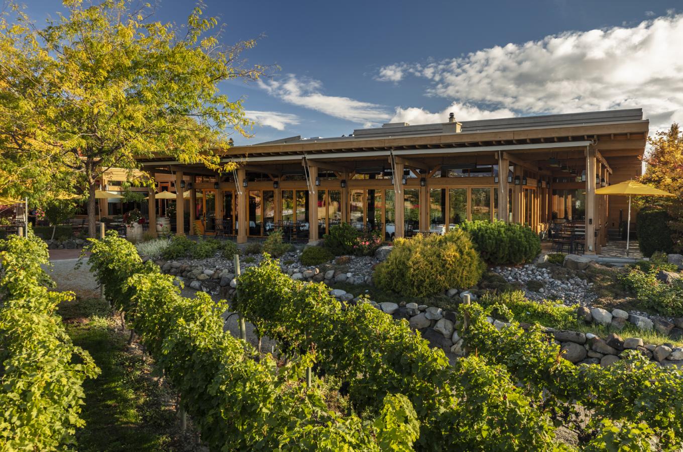 Summer at Old Vines Restaurant