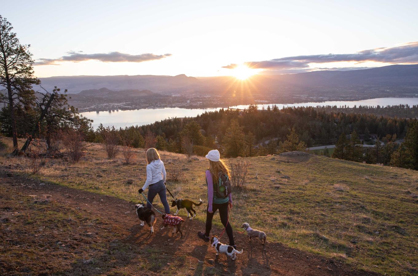 Rose Valley Regional Park  Hike with Dogs