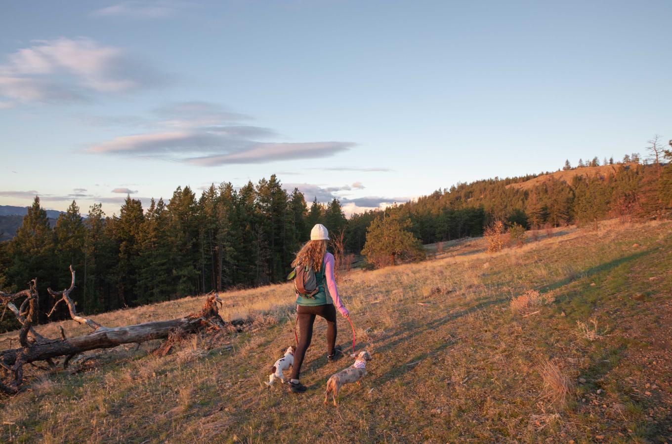 Rose Valley Regional Park  Hike with Dogs