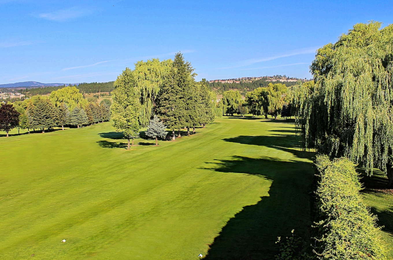 Shadow Ridge Hole 12