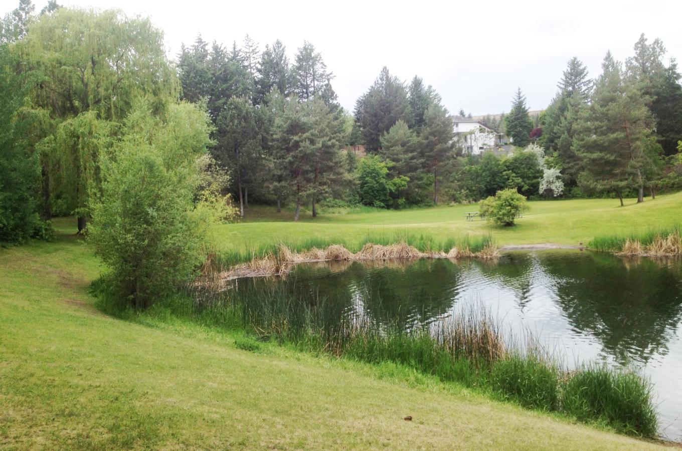Shannon Lake Regional Park 3