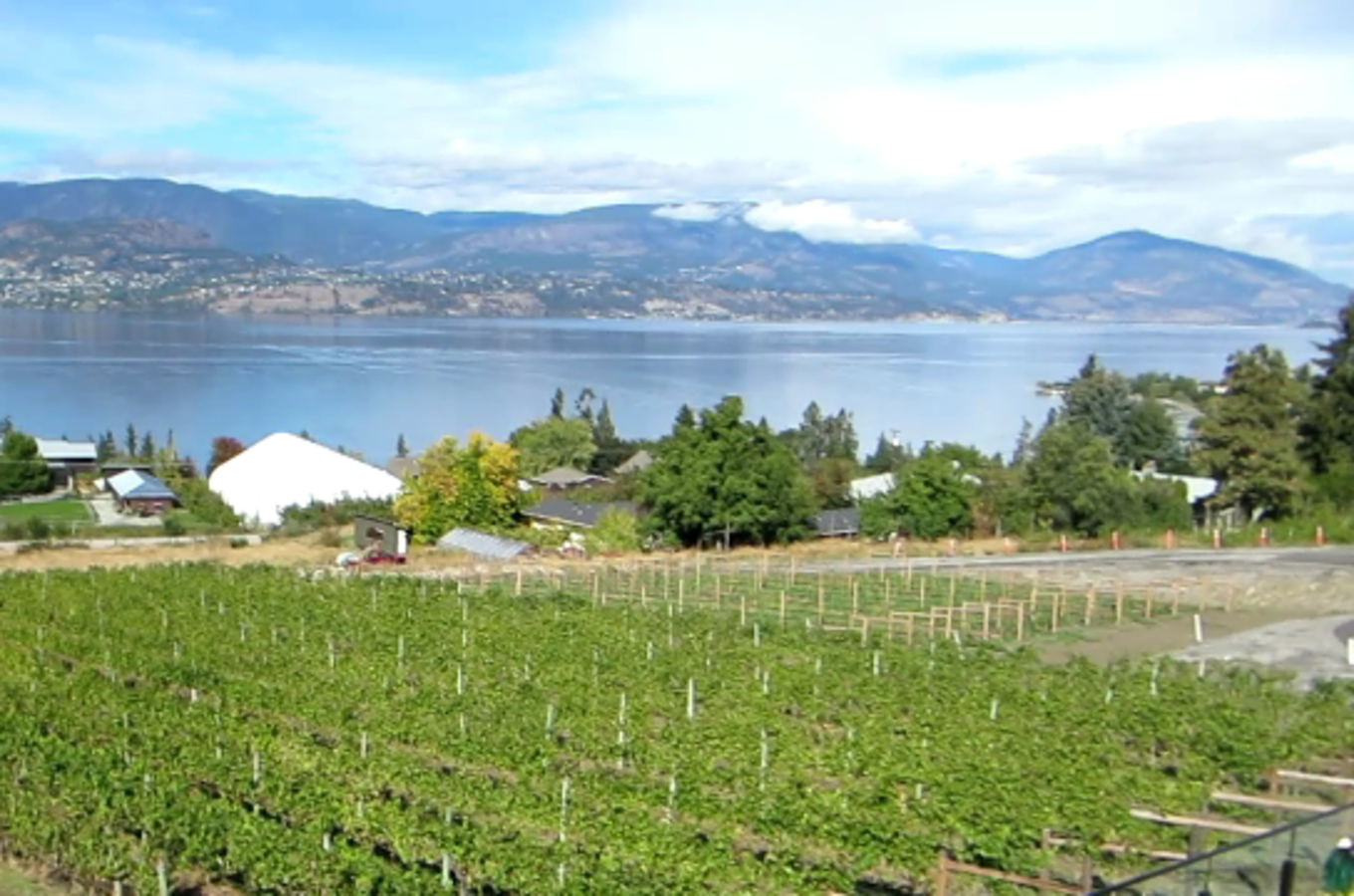 Carefree Wine Tours Image 6