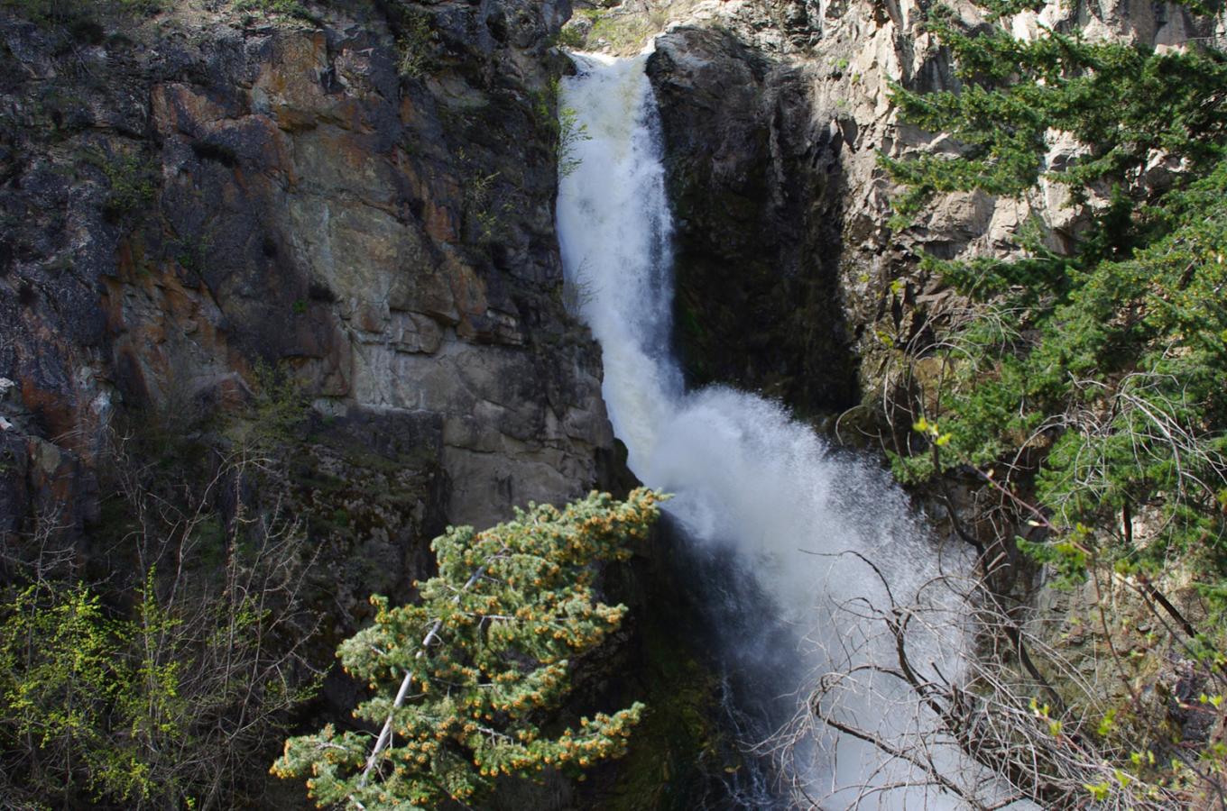 Fintry Waterfalls