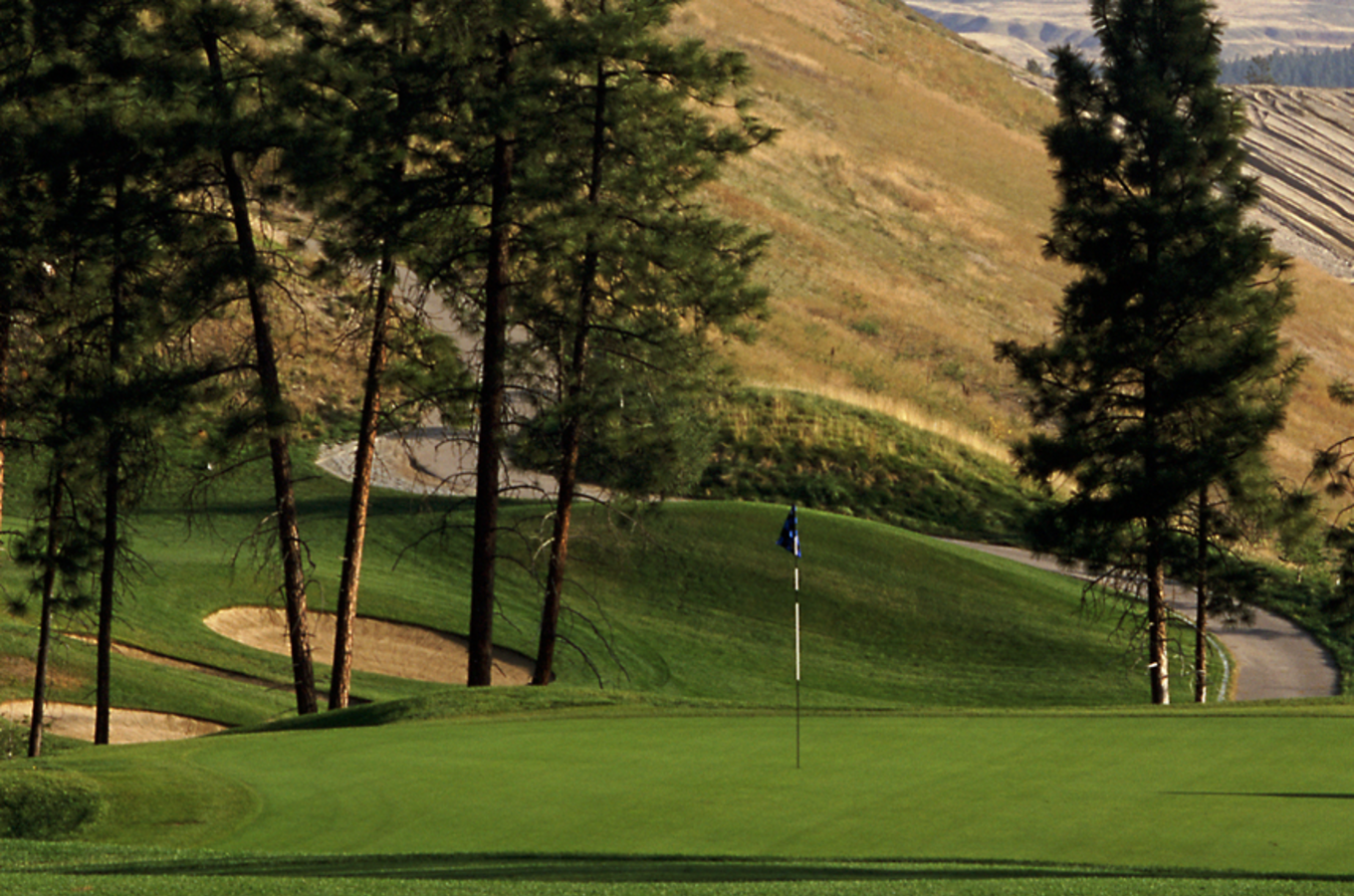 Okanagan Golf Club - The Bear Header 3