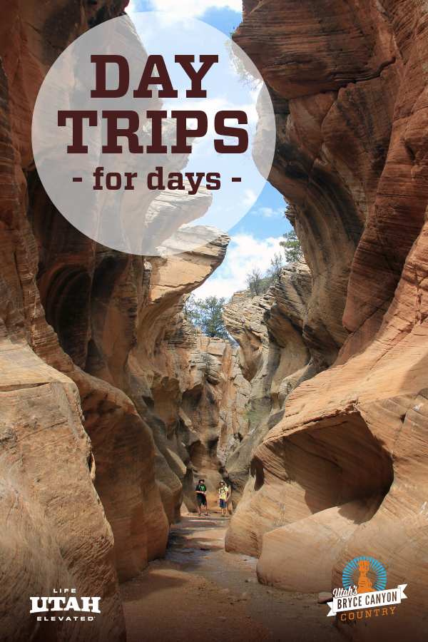 These Utah day trips are great options even during the school year! A few examples of these Utah road trip ideas are Panguitch Lake, Bryce Canyon National Park, Anasazi State Park Museum and more! 