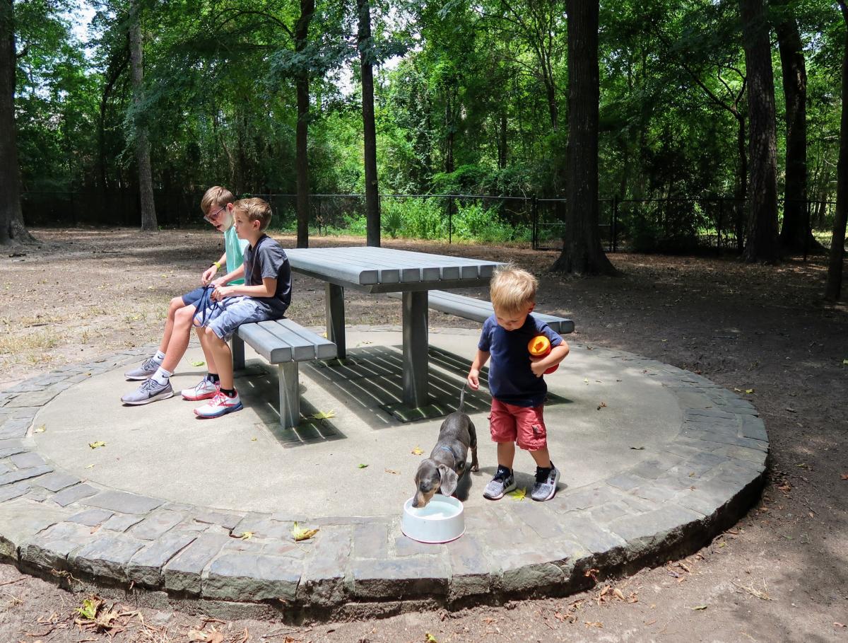 Terramont Dog Park