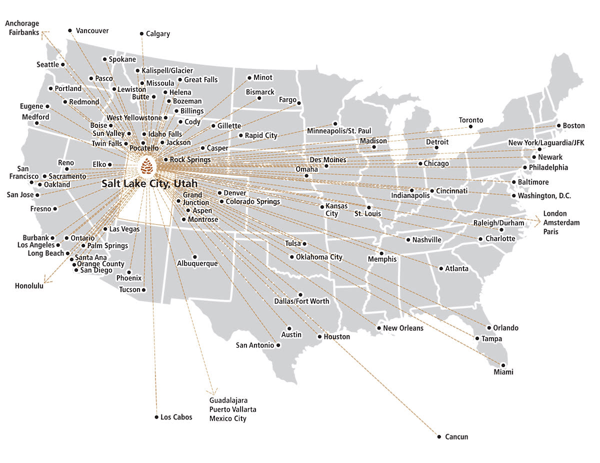 Domestic Flight Map